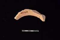 陶罐藏品圖，第2張